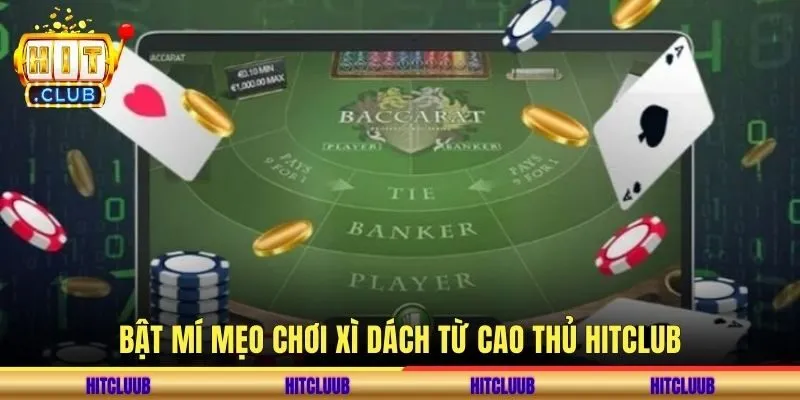 Bật mí mẹo chơi xì dách từ cao thủ hitclub