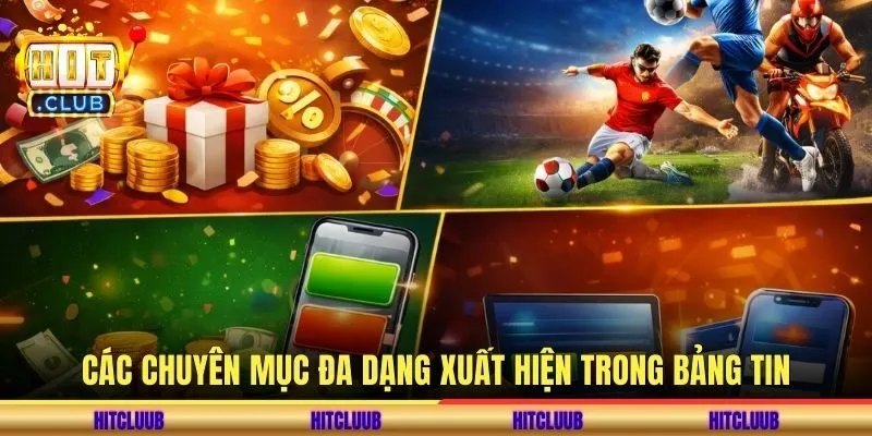 Các chuyên mục đa dạng xuất hiện trong bảng tin